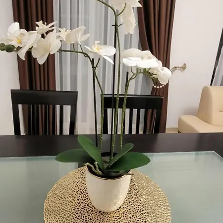 Silver Springs Premium Lejlighed